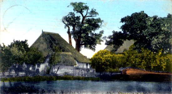 HL Damals – Israelsdorfer Eiche von der Trave aus