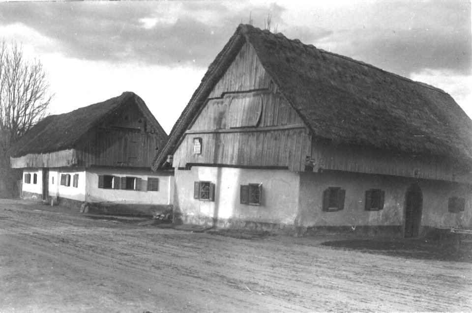 Hiši v Mali vasi, Ježica