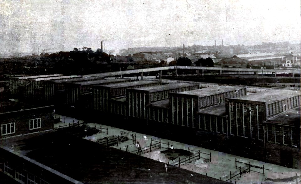 HL Damals – Seegrenzschlachthof – Großviehhalle – Blick von oben