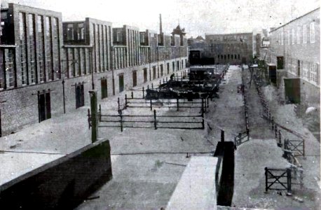 HL Damals – Seegrenzschlachthof – Viehhof