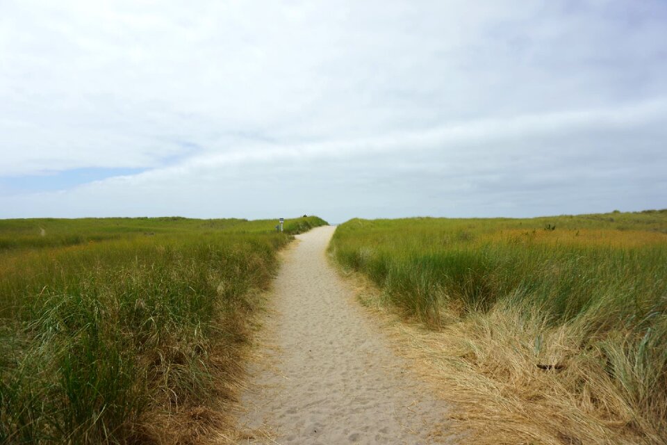 Field horizon blue