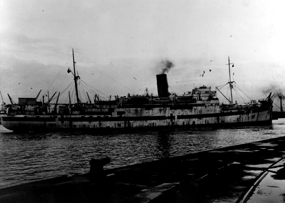 HMHS Newfoundland (38) broadside view