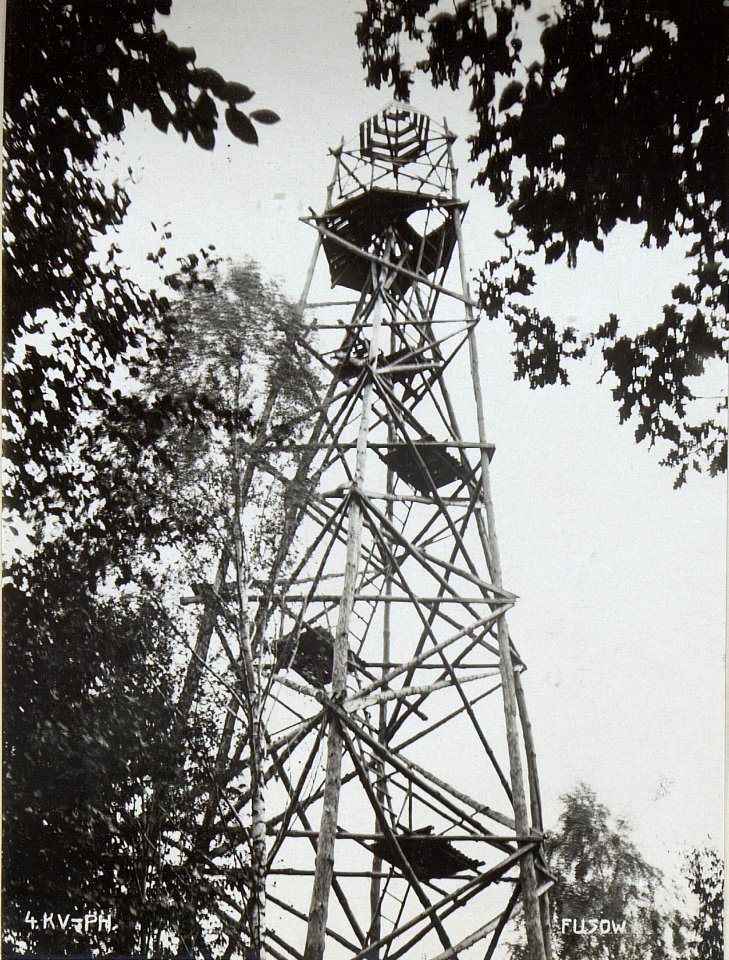 Hochstand bei Fusow (BildID 15696001)