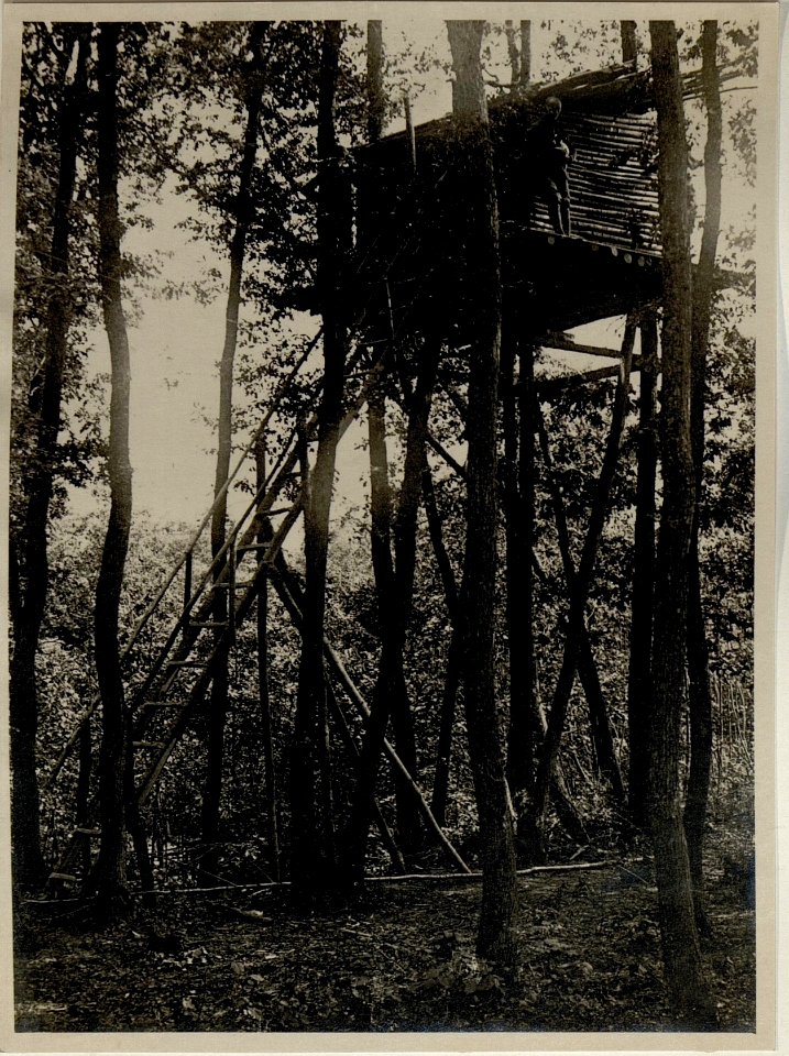 Hochstand im Taslanwald (BildID 15545231)