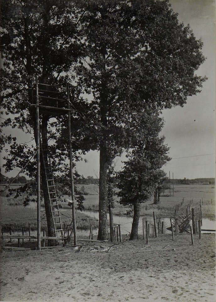 Hochstand in der Schwarmlinie (BildID 15445858)