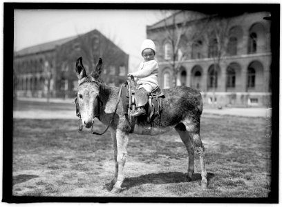 HODGES, JOHN. INFANT. ON DONKEY AT WASHINGTON BARRACKS LCCN2016866303