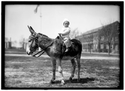 HODGES, JOHN. INFANT. ON DONKEY AT WASHINGTON BARRACKS LCCN2016866306