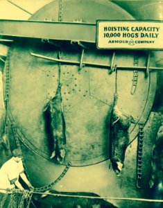 Hog elevating wheel, Armour and Company, Chicago, Illinois, WWI (29102261643)