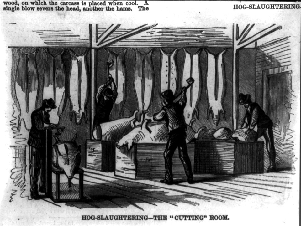 Hog slaughtering - the cutting room, Cincinnati, Ohio LCCN2002712866