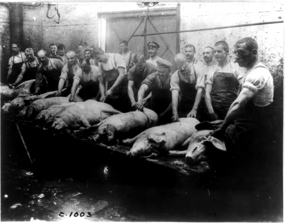 Hogs for the German army LCCN2010646021
