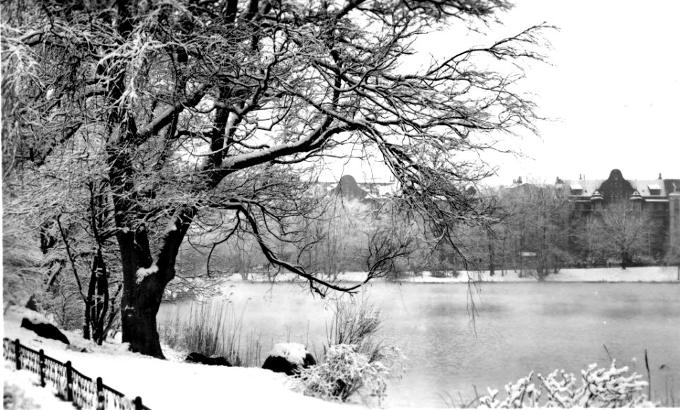 Hohenzollernpark (später Schrevenpark) im Winter (Kiel 45.879)
