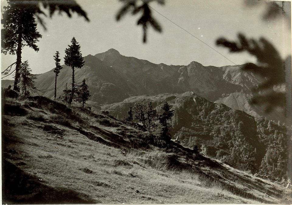 Hoher Trieb. Kote 2197. Aufgenommen am 23.September 1915. (BildID 15460419)