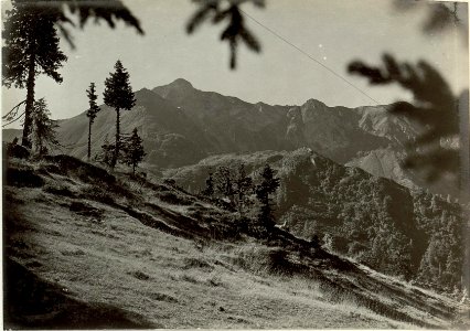 Hoher Trieb. Kote 2197. Aufgenommen am 23.September 1915. (BildID 15460419)
