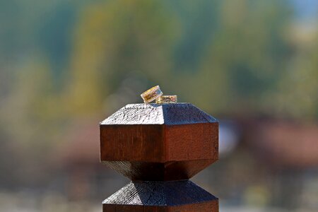 Wood-fibre boards wedding ring photo