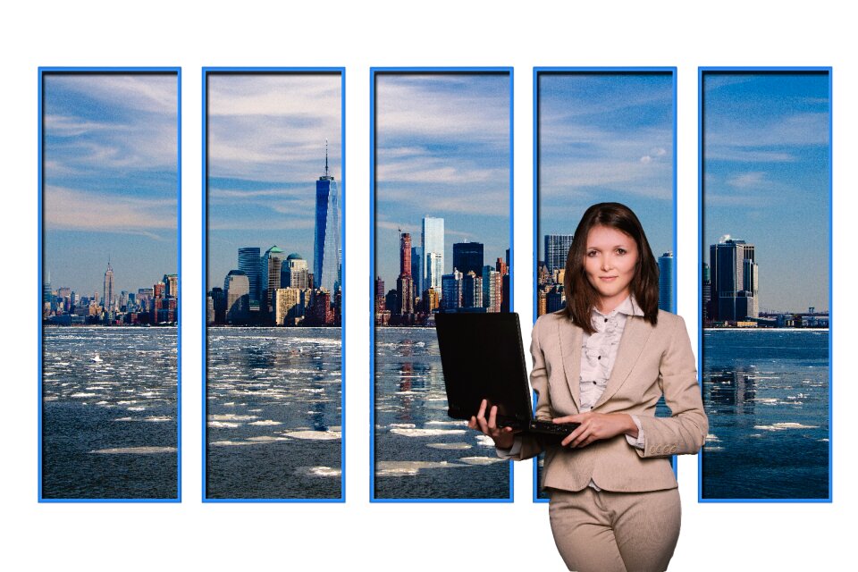 New york window design
