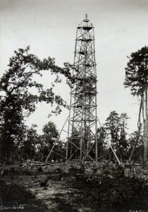 Hochstand bei Czerniawka (BildID 15695777)
