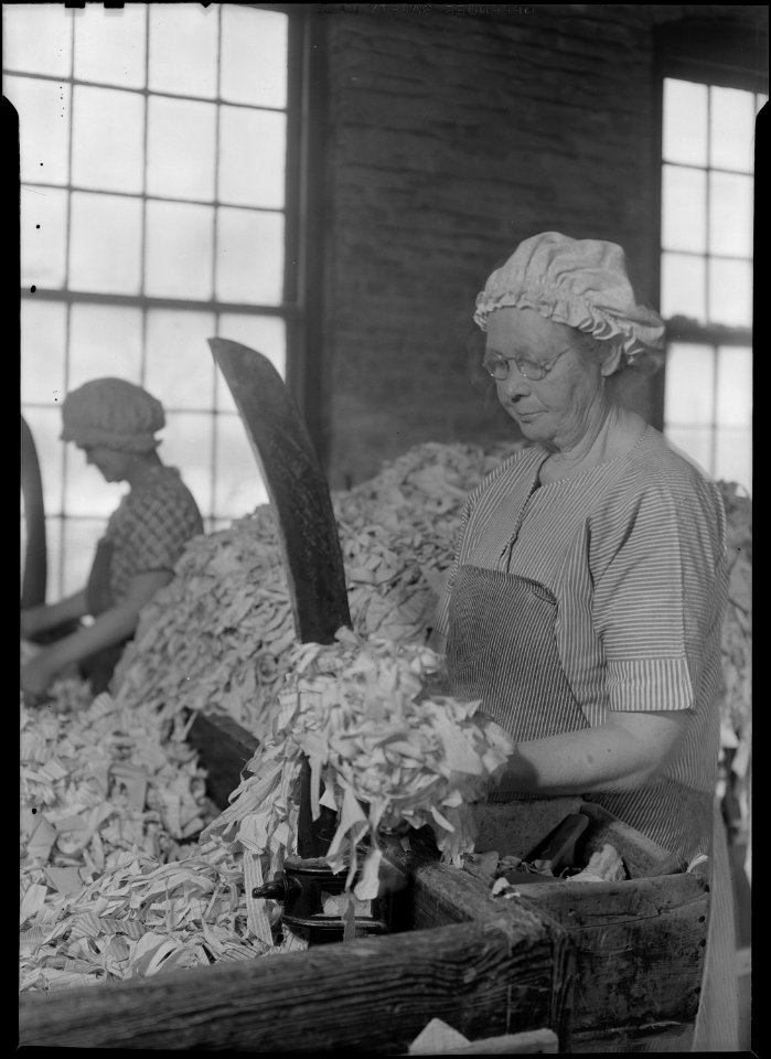 Holyoke, Massachusetts - Paper. American Writing Paper Co. Rag sorting (Irish). - NARA - 518336