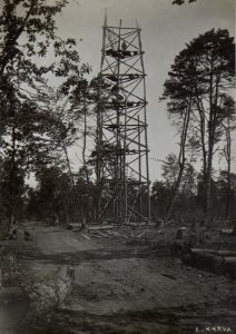 Hochstand im Walde (Armeesäge) bei Czerniawka (BildID 15695770)