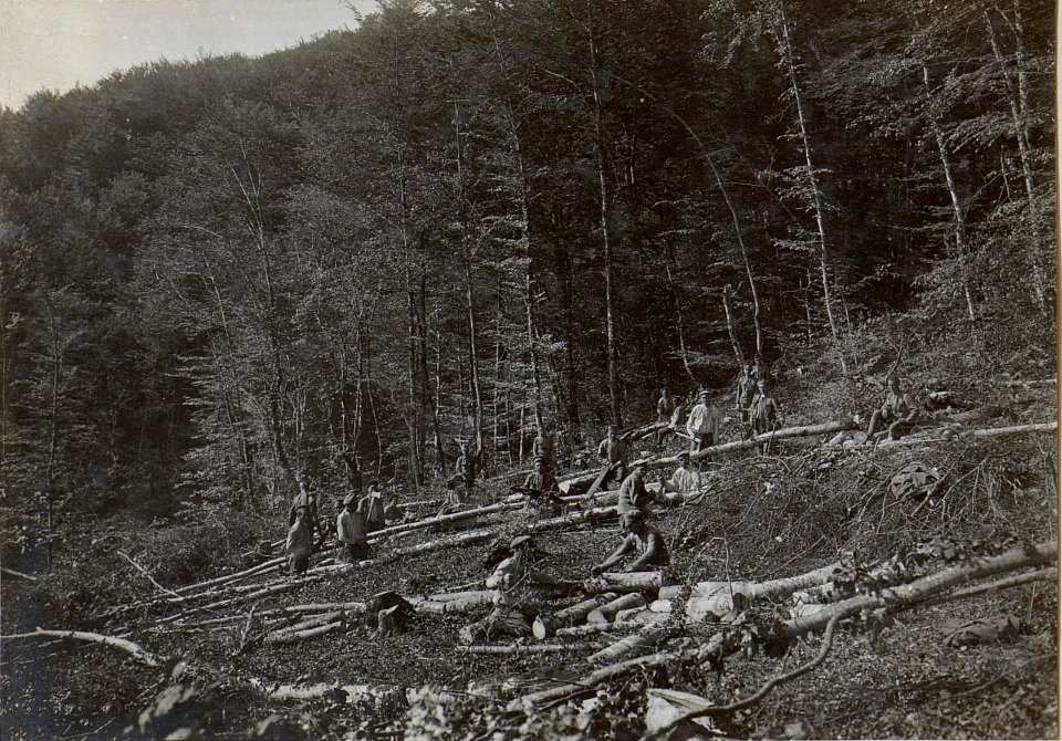 Holz und Kohlengewinnung in Neudegg (BildID 15596685)