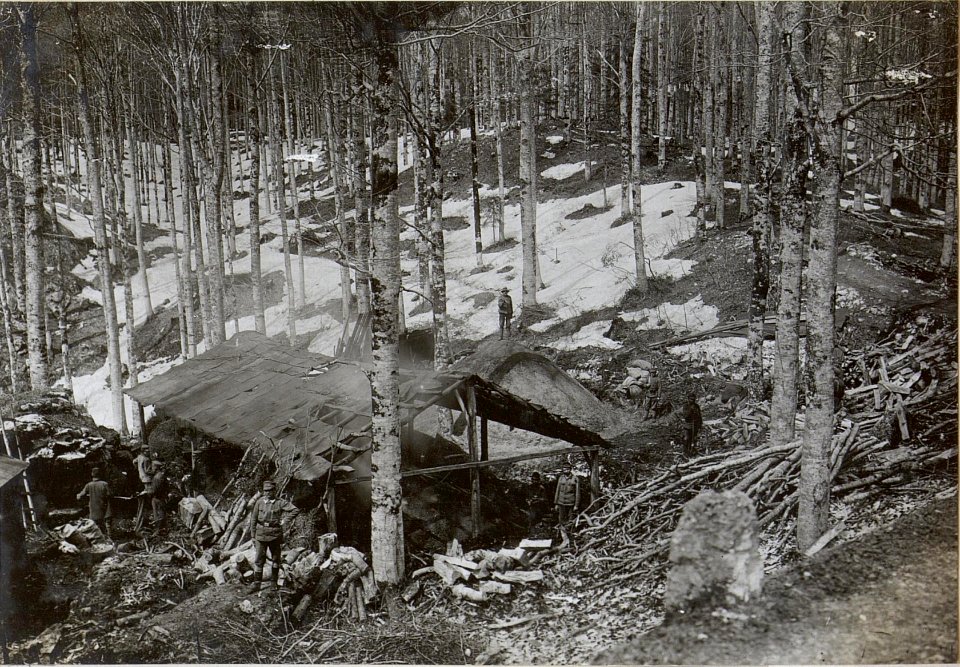 Holz und Kohlengewinnung in Predmeja (BildID 15596692)