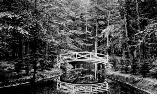 Holzbrücke (Kiel 45.046)