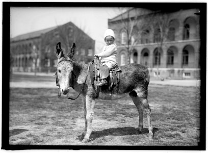 HODGES, JOHN. INFANT. ON DONKEY AT WASHINGTON BARRACKS LCCN2016866303