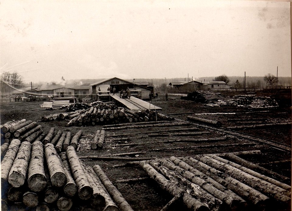 Holzplatz techn. Arbeiter Abt.in Kragla (BildID 15530319)