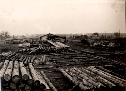 Holzplatz techn. Arbeiter Abt.in Kragla (BildID 15530319)