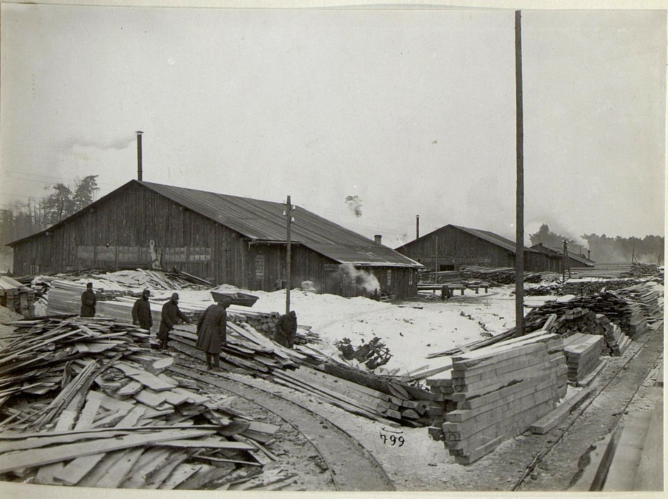 Holzverarbeitung in Galizien (BildID 15681909)