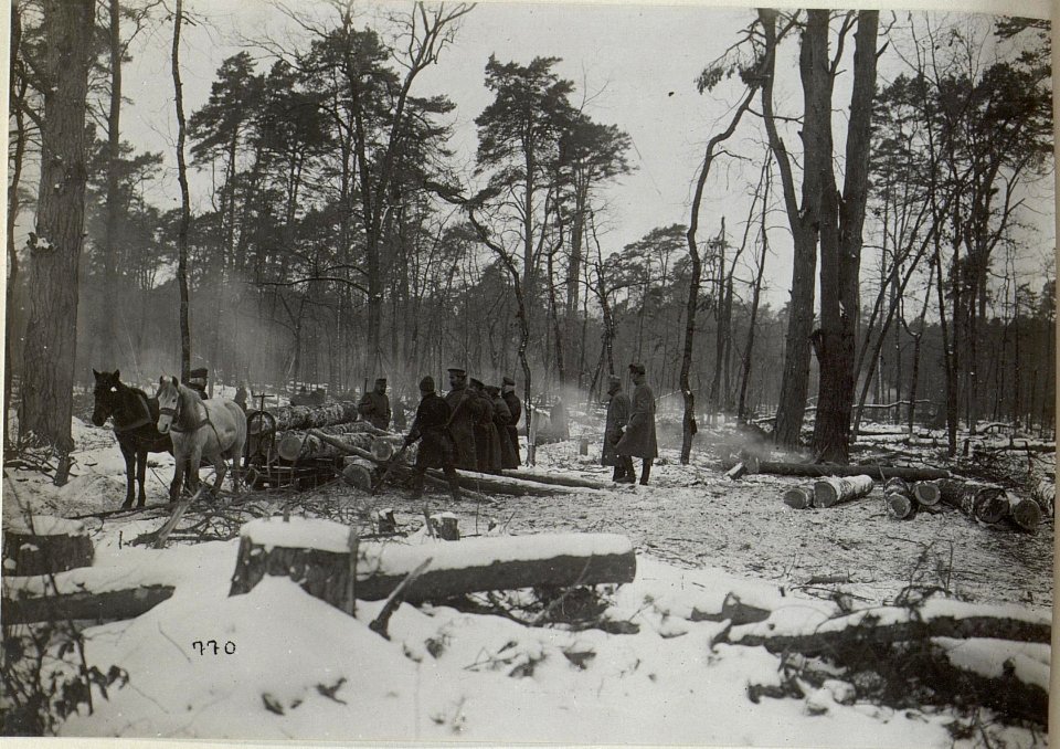 Holzverarbeitung im winterlichen Galizien (BildID 15681706)