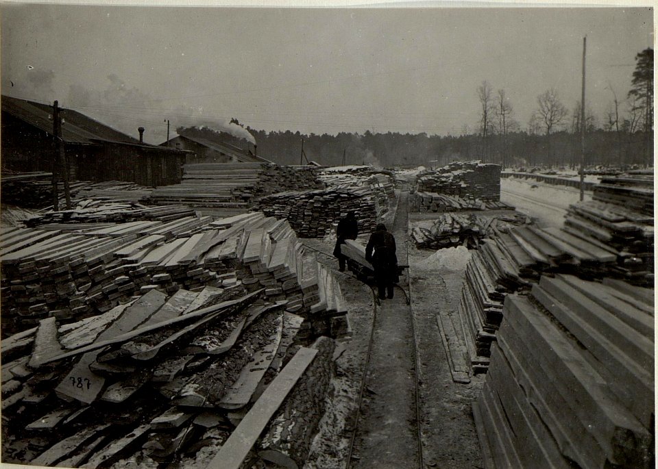 Holzverarbeitung in Galizien (BildID 15681825)