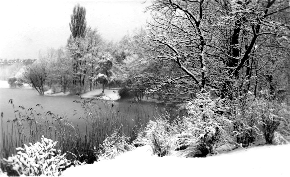 Hohenzollernpark (später Schrevenpark) im Winter (Kiel 45.880)