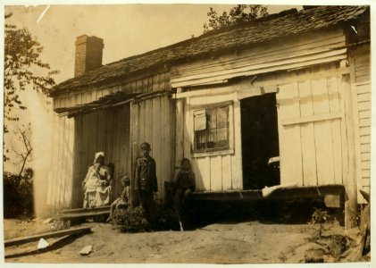 Home of Ed Bentley family, Route 2, Hebbardsville. Father is up the river cutting logs (is home part of the time) and sister is attending the Zion School. Boys expect to go to Bluff City LOC nclc.00514