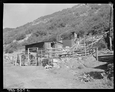 Home of Japanese miner who lives in company housing project. Hudson Coal Company, Hudson Mine, Sweet Mine, Carbon... - NARA - 540486