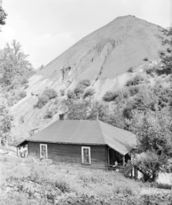 Home of Negro miner living in company housing project with slag pole in rear. Adams, Rowe & Norman Inc., Porter Mine... - NARA - 540604 (cropped)