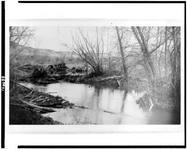 Home of the beaver, Clear Creek, Arizona LCCN90710096