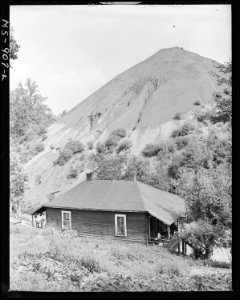 Home of Negro miner living in company housing project with slag pole in rear. Adams, Rowe & Norman Inc., Porter Mine... - NARA - 540604