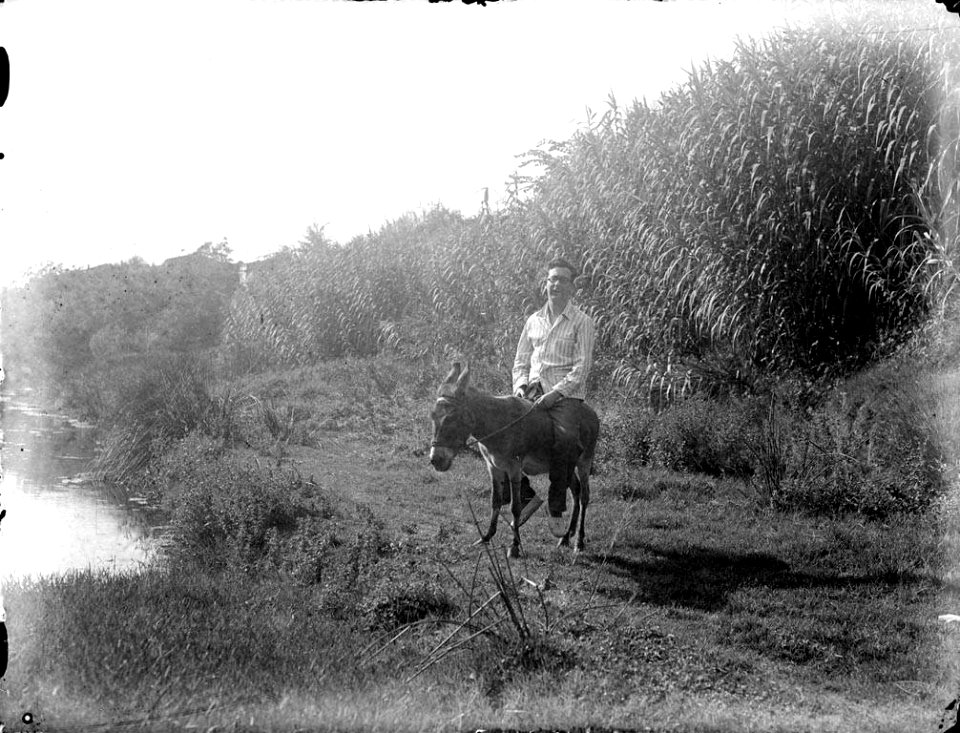 Home sobre un ase a la riba d'un riu (AFCEC RIBASV C 2534)