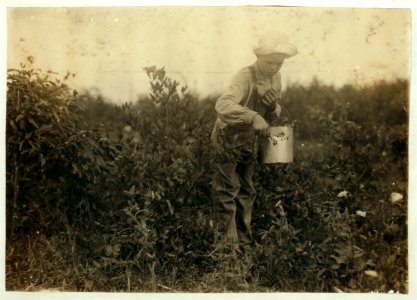 Homer Hunt, 11-year old berry picker. Says he has been out of school half the time for some weeks picking, and has made $10. Gets 10 cents a gallon. They are wild blackberries. The teacher LOC nclc.00470
