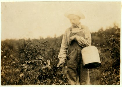 Homer Hunt, 11-year old berry picker. Says he has been out of school half the time for some weeks picking, and has made $10. Gets 10 cents a gallon. They are wild blackberries. The teacher LOC nclc.00471