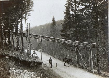 Holz und Kohlengewinnung in Predmeja (BildID 15596699)