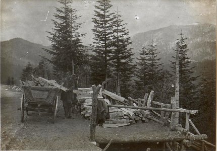 Holz und Kohlengewinnung in Predmeja (BildID 15596727)