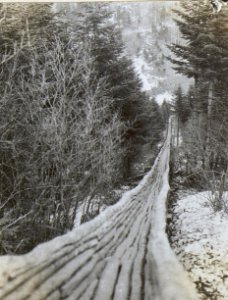 Holz und Kohlengewinnung in Predmeja (BildID 15596811)