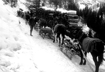Holztransport mit Pferdeschlitten - CH-BAR - 3237070