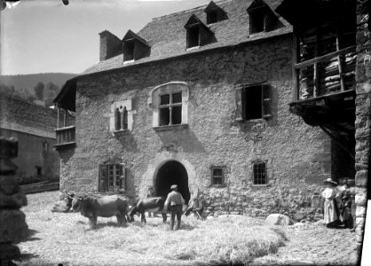 Homes cuidant el bestiar davant de la casa senyorial de Ço Rodès, a Vielha