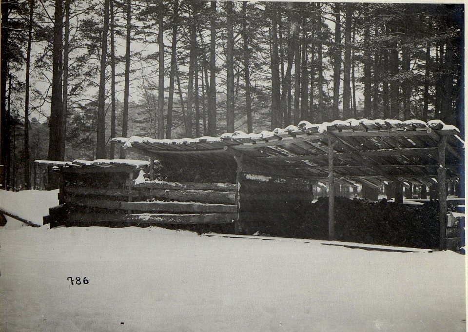 Holzverarbeitung in Galizien (BildID 15681818)