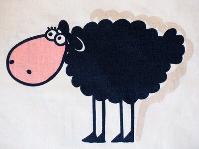 Black sheep wool livestock