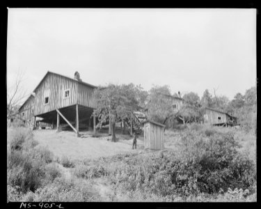 Homes of Negro miners in company housing project. Adams, Rowe & Norman Inc., Porter Mine, Adamsville, Jefferson... - NARA - 540603
