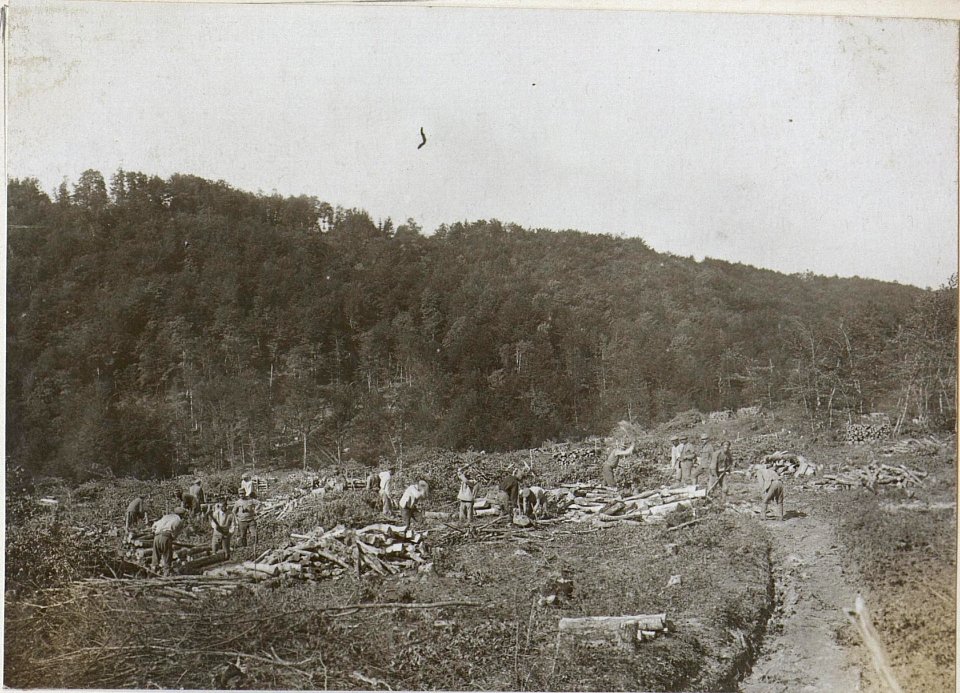 Holz und Kohlengewinnung in Neudegg (BildID 15596678)