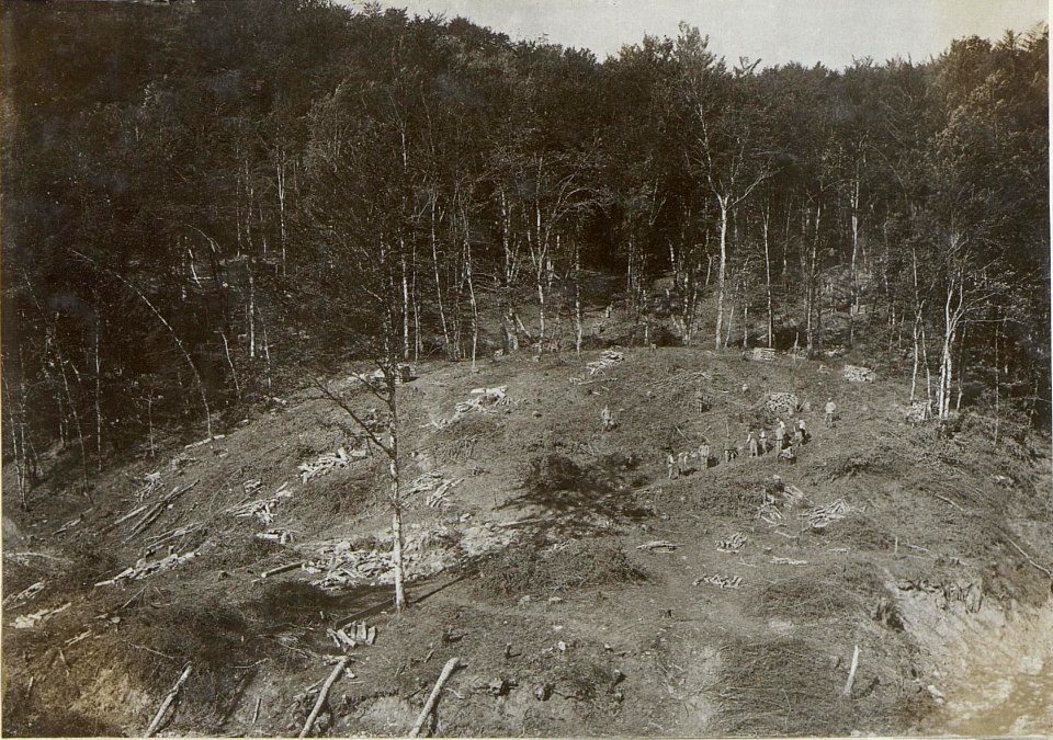 Holz und Kohlengewinnung in Neudegg. (BildID 15596671)